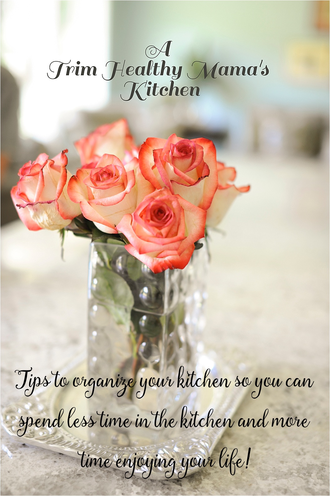 A Trim Healthy Mama's Kitchen Organization Tips