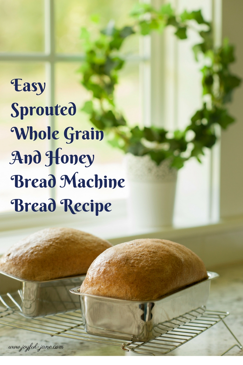Einkorn Bread Machine Recipe