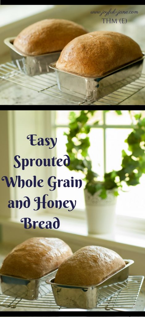 copy-of-easy-sprouted-whole-grain-and-honey-bread-pinterest-3-blue