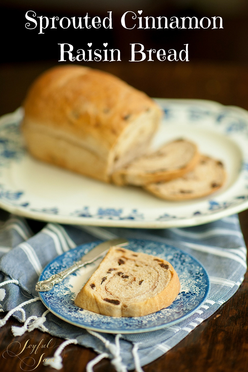 Bread Machine Cinnamon Raisin Bread (Golden Raisins) - Bread Dad