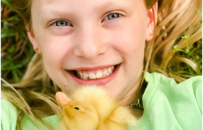 The Good Duck Shepherd-How Ducks Taught Me a Valuable Lesson About Trusting God
